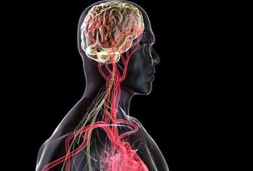 Phong benh Alzheimer / Bs Mike Roizen & Bs Mehmet OZ 